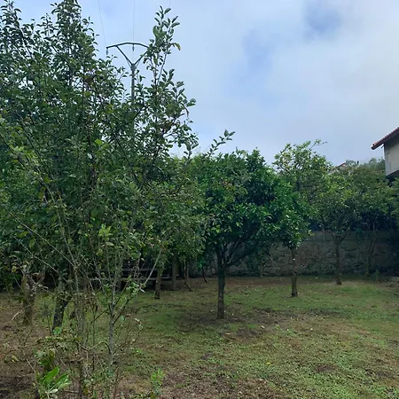 A Debesa Do Rei Lousame